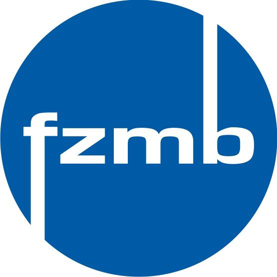 fzmb GmbH